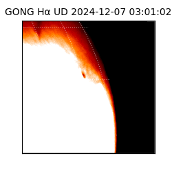 gong - 2024-12-07T03:01:02