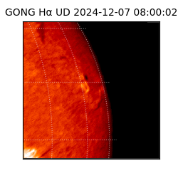 gong - 2024-12-07T08:00:02