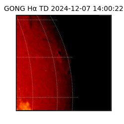 gong - 2024-12-07T14:00:22