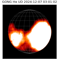 gong - 2024-12-07T03:01:02