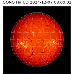 gong - 2024-12-07T08:00:02