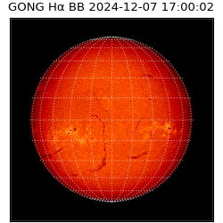 gong - 2024-12-07T17:00:02