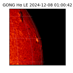 gong - 2024-12-08T01:00:42