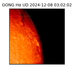 gong - 2024-12-08T03:02:02