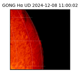 gong - 2024-12-08T11:00:02