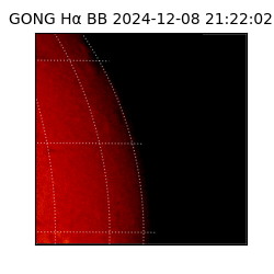 gong - 2024-12-08T21:22:02