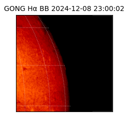 gong - 2024-12-08T23:00:02