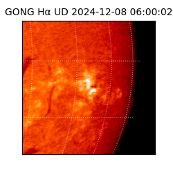 gong - 2024-12-08T06:00:02