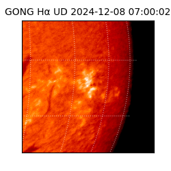 gong - 2024-12-08T07:00:02