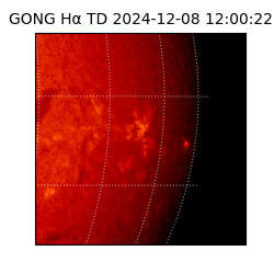 gong - 2024-12-08T12:00:22
