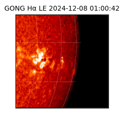 gong - 2024-12-08T01:00:42