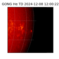 gong - 2024-12-08T12:00:22