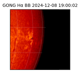 gong - 2024-12-08T19:00:02