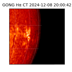 gong - 2024-12-08T20:00:42