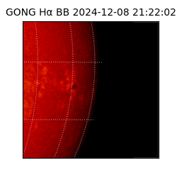 gong - 2024-12-08T21:22:02