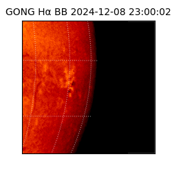 gong - 2024-12-08T23:00:02