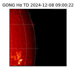 gong - 2024-12-08T09:00:22