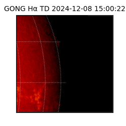 gong - 2024-12-08T15:00:22