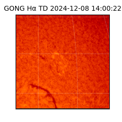 gong - 2024-12-08T14:00:22