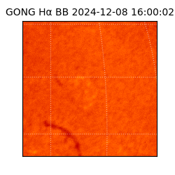 gong - 2024-12-08T16:00:02