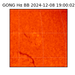 gong - 2024-12-08T19:00:02