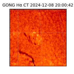 gong - 2024-12-08T20:00:42