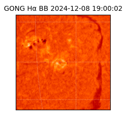 gong - 2024-12-08T19:00:02