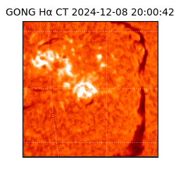 gong - 2024-12-08T20:00:42