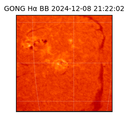 gong - 2024-12-08T21:22:02