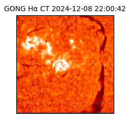 gong - 2024-12-08T22:00:42
