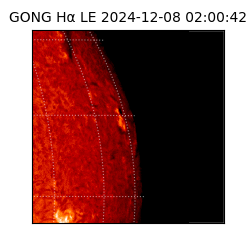 gong - 2024-12-08T02:00:42