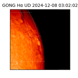 gong - 2024-12-08T03:02:02