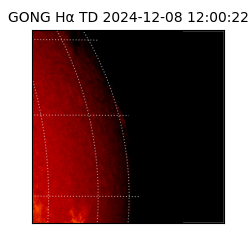 gong - 2024-12-08T12:00:22