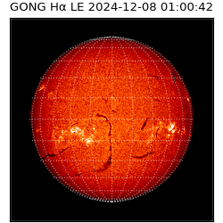 gong - 2024-12-08T01:00:42