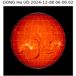 gong - 2024-12-08T06:00:02