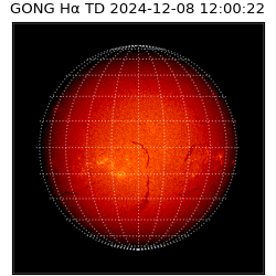 gong - 2024-12-08T12:00:22