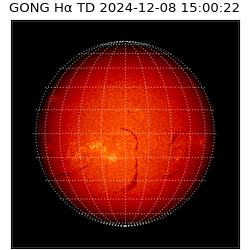 gong - 2024-12-08T15:00:22