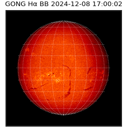 gong - 2024-12-08T17:00:02