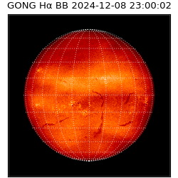 gong - 2024-12-08T23:00:02