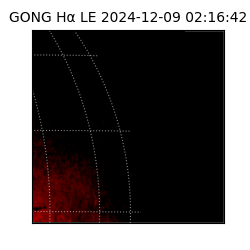 gong - 2024-12-09T02:16:42