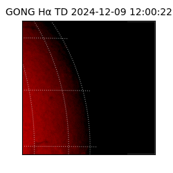 gong - 2024-12-09T12:00:22