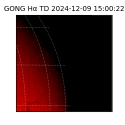 gong - 2024-12-09T15:00:22