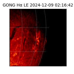 gong - 2024-12-09T02:16:42