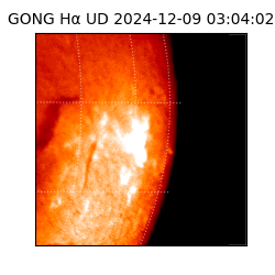 gong - 2024-12-09T03:04:02