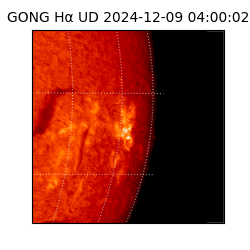 gong - 2024-12-09T04:00:02