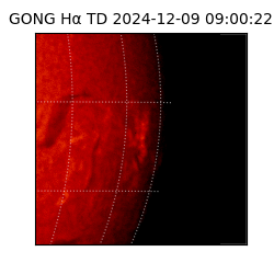 gong - 2024-12-09T09:00:22