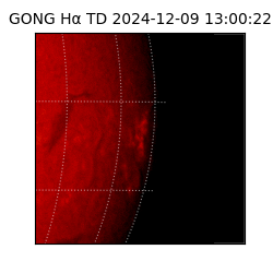 gong - 2024-12-09T13:00:22