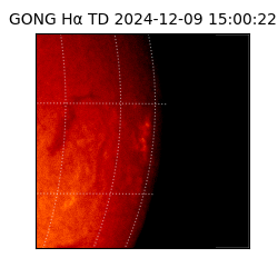 gong - 2024-12-09T15:00:22