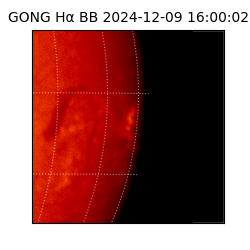 gong - 2024-12-09T16:00:02