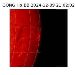 gong - 2024-12-09T21:02:02